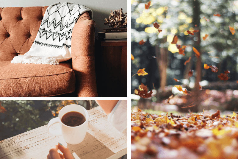 Inspiration for Autumn Colours room